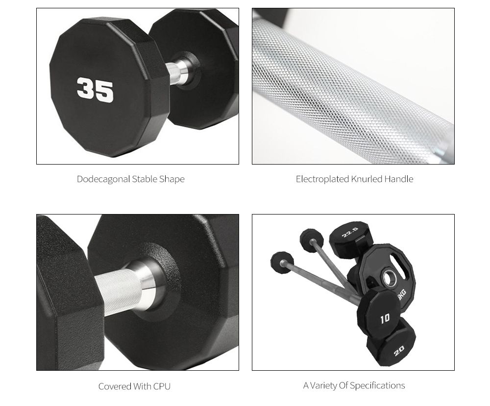 Dumbbell da CPU Dodecgonal