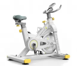Bicicleta de exercício magnética de dupla resistência