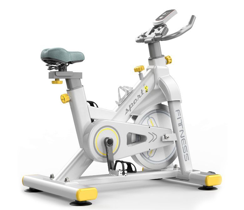Bicicleta de exercício magnética de dupla resistência
