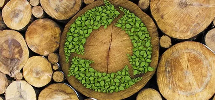 Material sustentável
